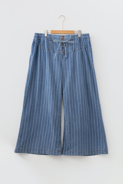 Plus Size Sky Blue Stripe Buttoned Loose Wide Leg Denim Pants