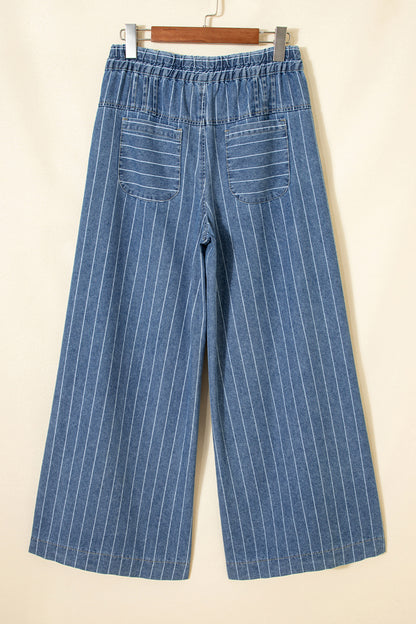 Plus Size Sky Blue Stripe Buttoned Loose Wide Leg Denim Pants
